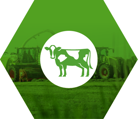 cormana-home_icon2-livestock-farming