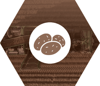 cormana-2025-icon-arable-new