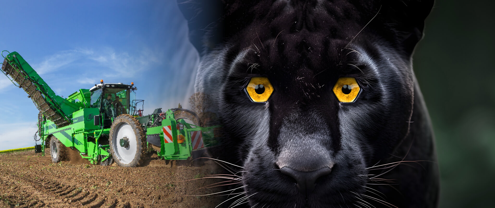 cormana-visual-puma_web-v3.2