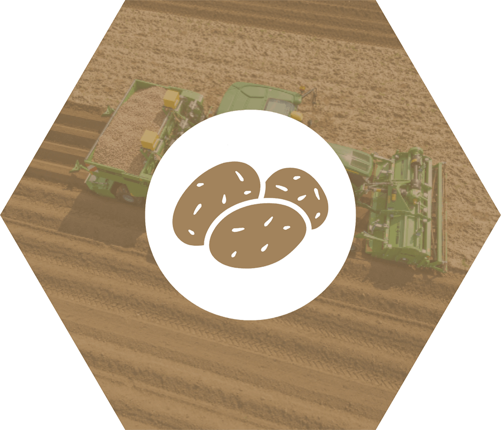 cormana-logo-arable-new